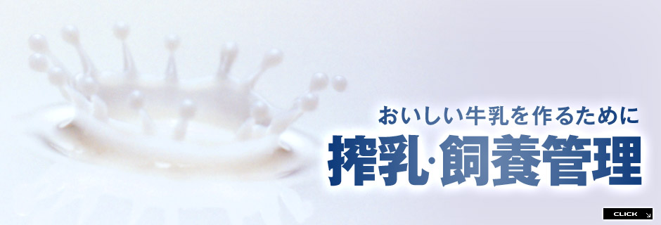 搾乳・飼養管理