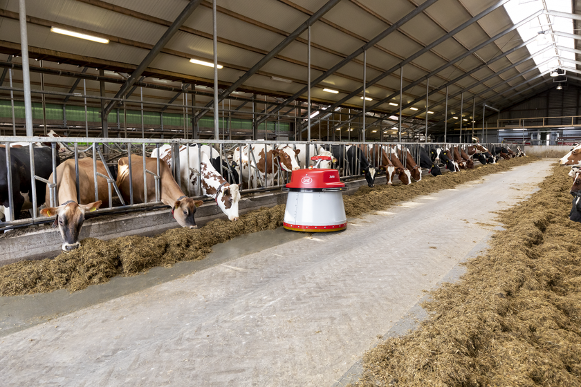 LELY JUNO