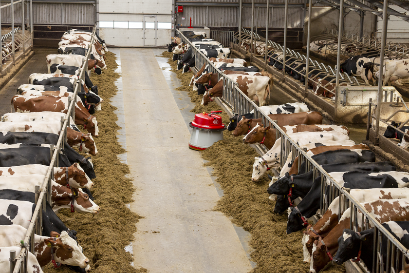 LELY JUNO