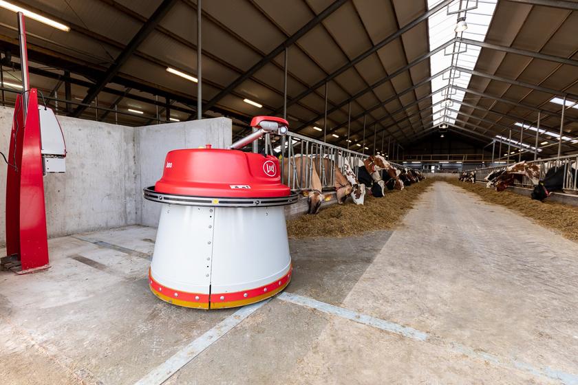 LELY JUNO