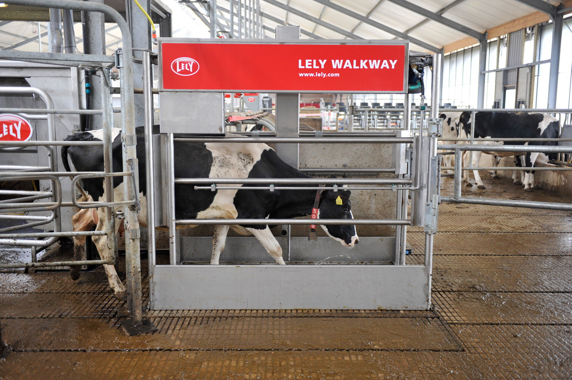 Lely___CSB0944-1920px.JPG